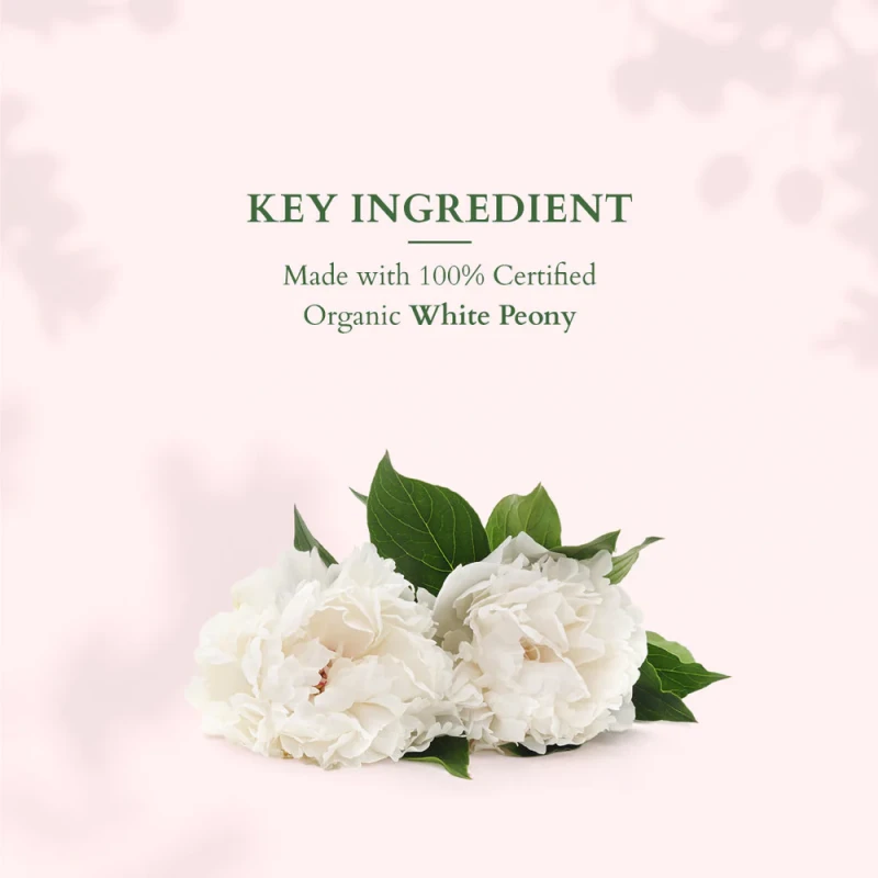 Skin Brightening On the Go Glow Combo Pack